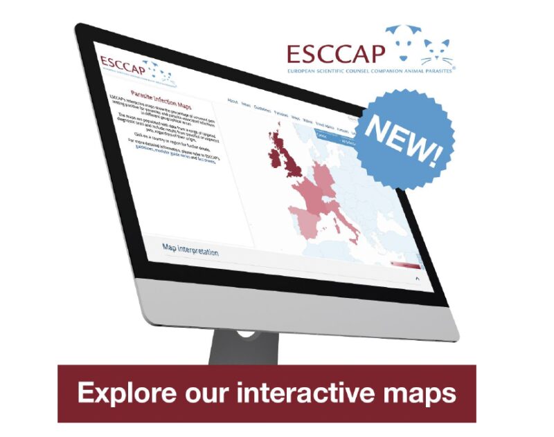 Bildschirmfoto 2025 06 25 um 08 18 36