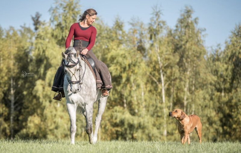 Bildschirmfoto 2025 07 28 um 16 07 31