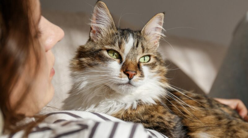 Bildschirmfoto 2025 08 02 um 15 05 53