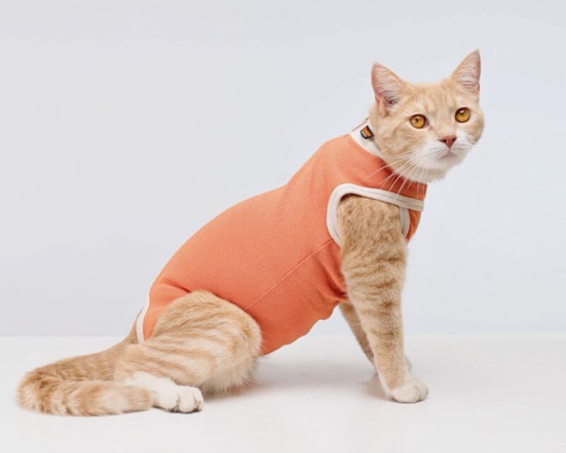 Bildschirmfoto 2025 08 04 um 11 40 11