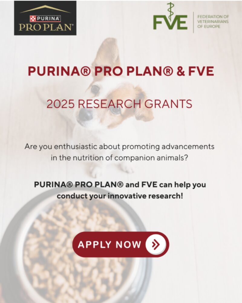 Bildschirmfoto 2025 08 08 um 17 20 56