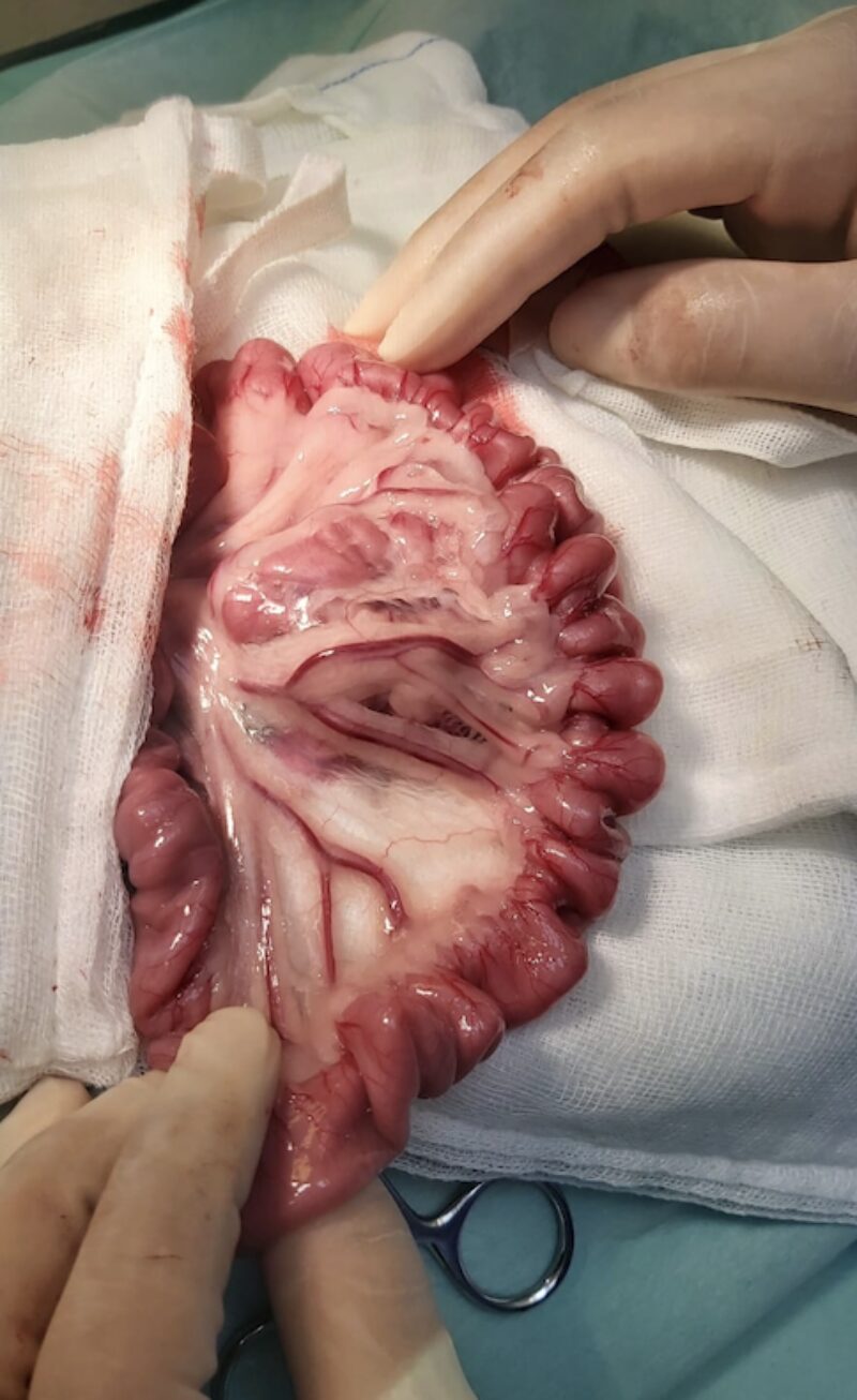 Bildschirmfoto 2025 08 09 um 13 29 14