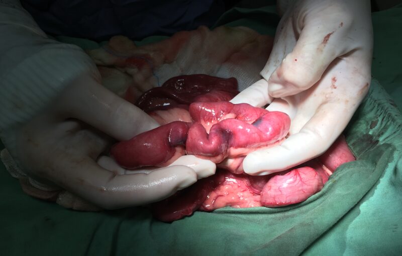 Bildschirmfoto 2025 08 09 um 13 30 34