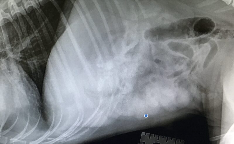 Bildschirmfoto 2025 08 09 um 13 32 08