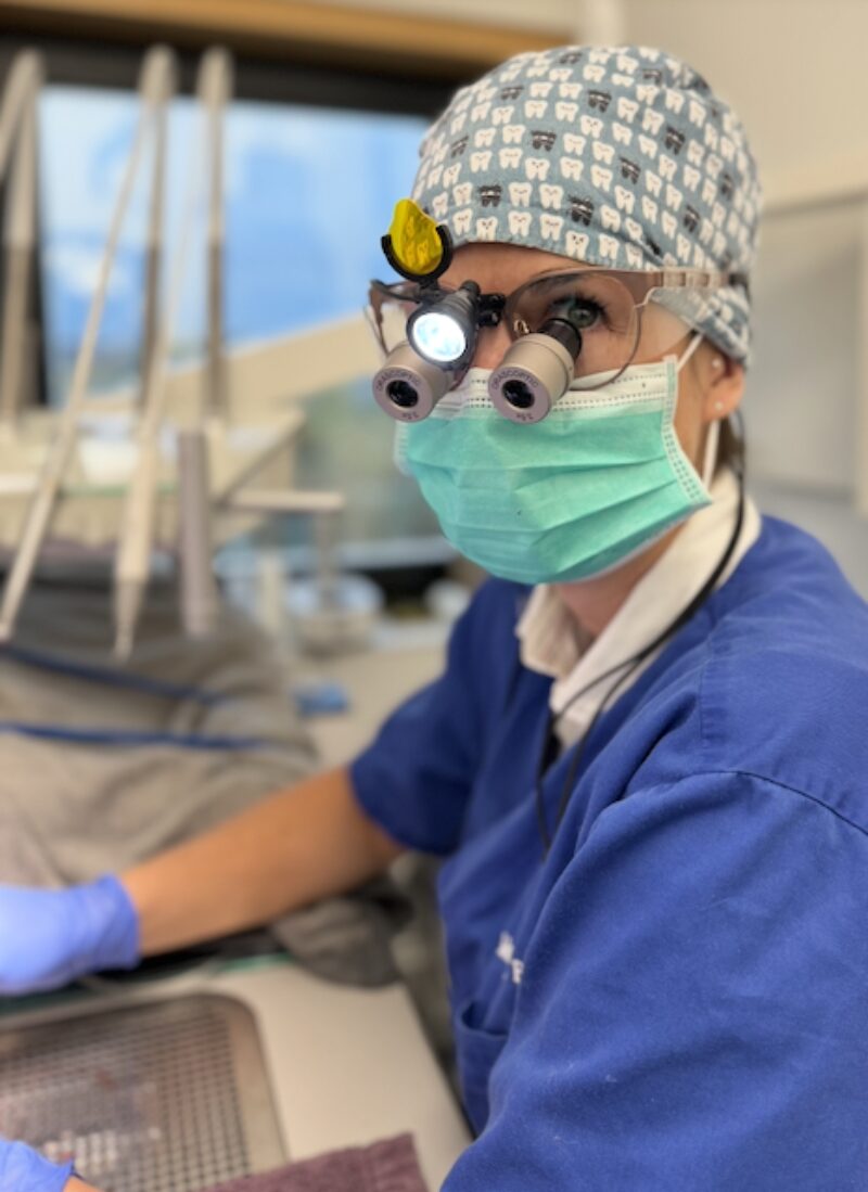 Bildschirmfoto 2025 08 09 um 15 24 09