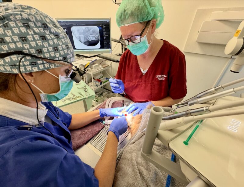 Bildschirmfoto 2025 08 09 um 15 24 25