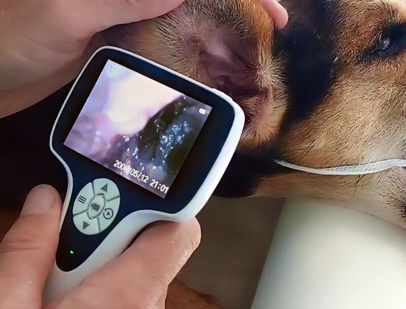 Bildschirmfoto 2025 08 10 um 17 48 02