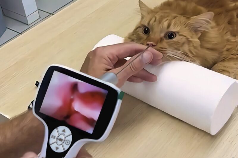 Bildschirmfoto 2025 08 10 um 17 53 41