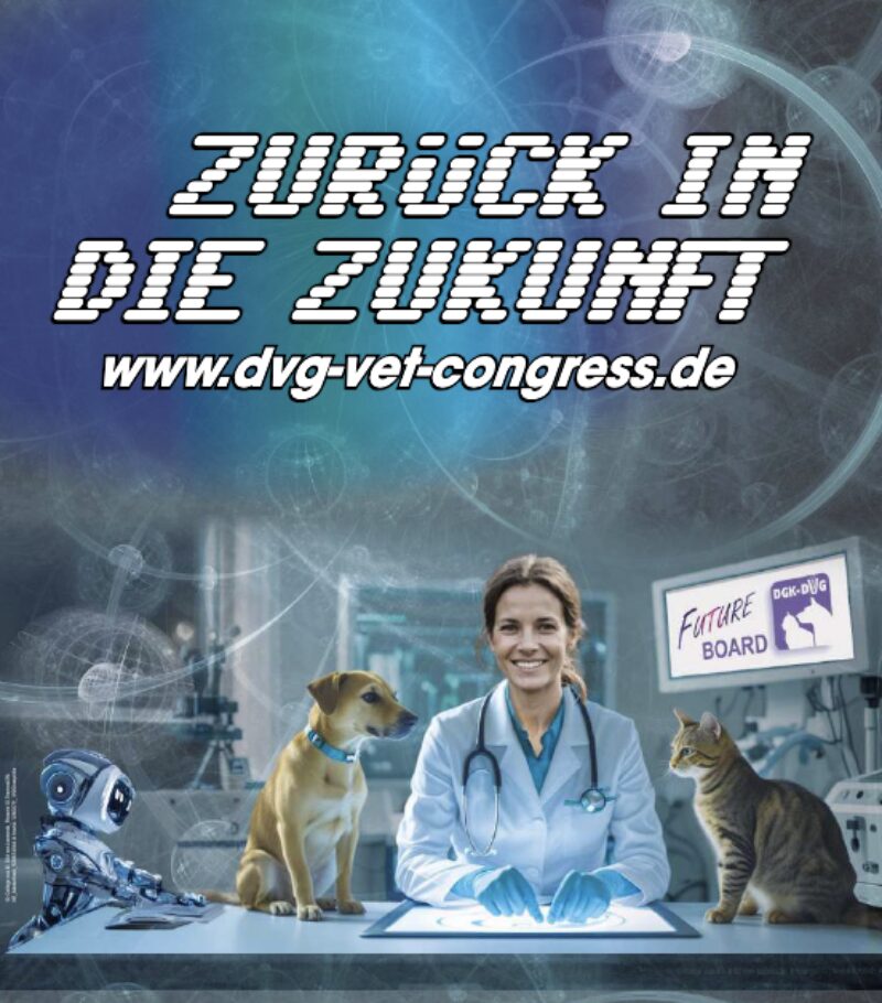 Bildschirmfoto 2025 08 11 um 16 55 56