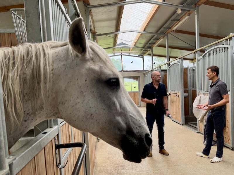 Bildschirmfoto 2025 08 12 um 17 37 12