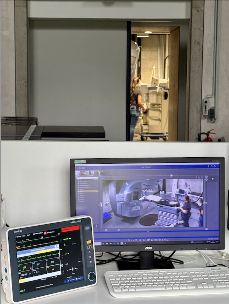 Bildschirmfoto 2025 08 12 um 17 38 44