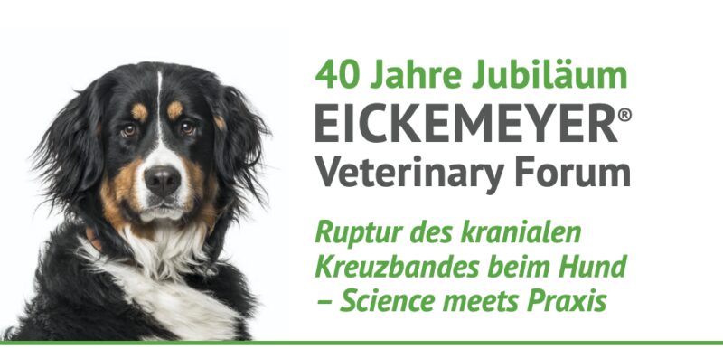 Bildschirmfoto 2025 08 14 um 18 22 14