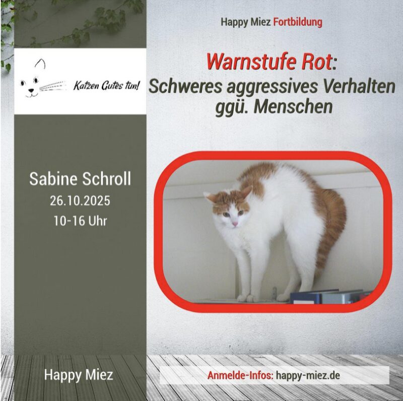 Bildschirmfoto 2025 08 15 um 08 57 35