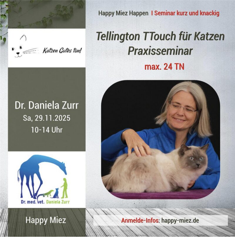 Bildschirmfoto 2025 08 15 um 09 23 43