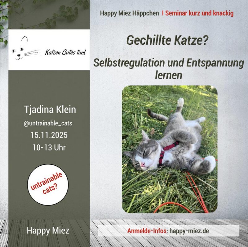 Bildschirmfoto 2025 08 15 um 09 08 00