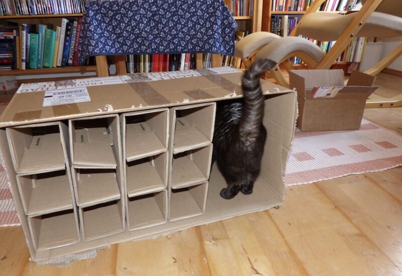 Bildschirmfoto 2025 08 18 um 10 44 03