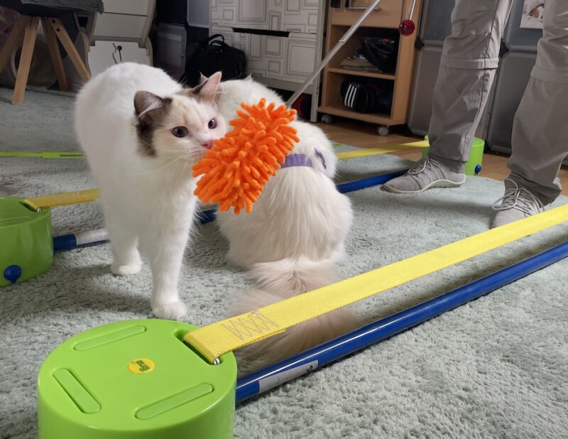 Bildschirmfoto 2025 08 18 um 10 55 47