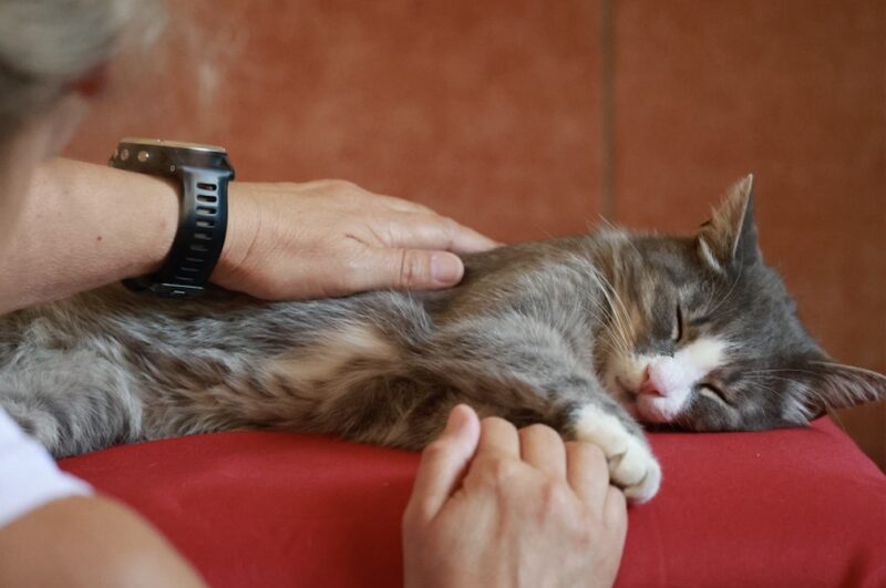 Bildschirmfoto 2025 08 18 um 10 58 47