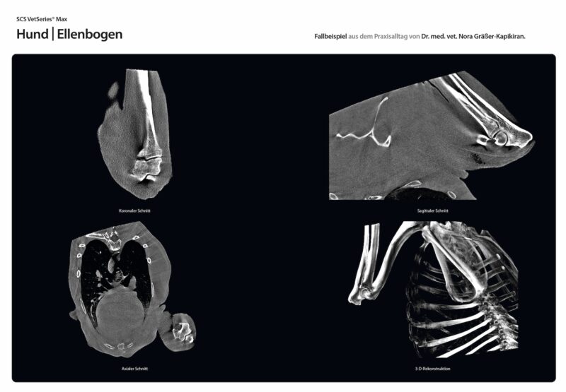 Bildschirmfoto 2025 08 18 um 18 45 53