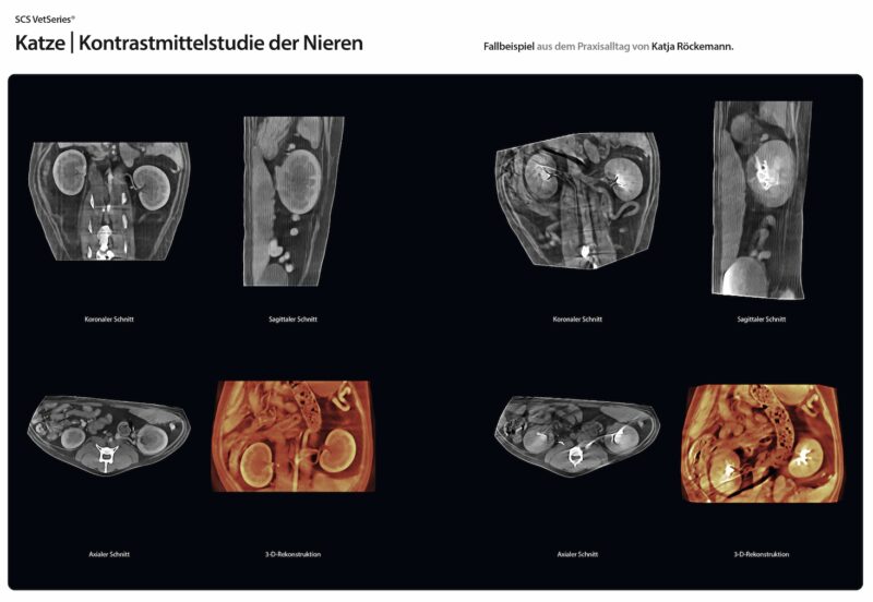 Bildschirmfoto 2025 08 18 um 18 47 40