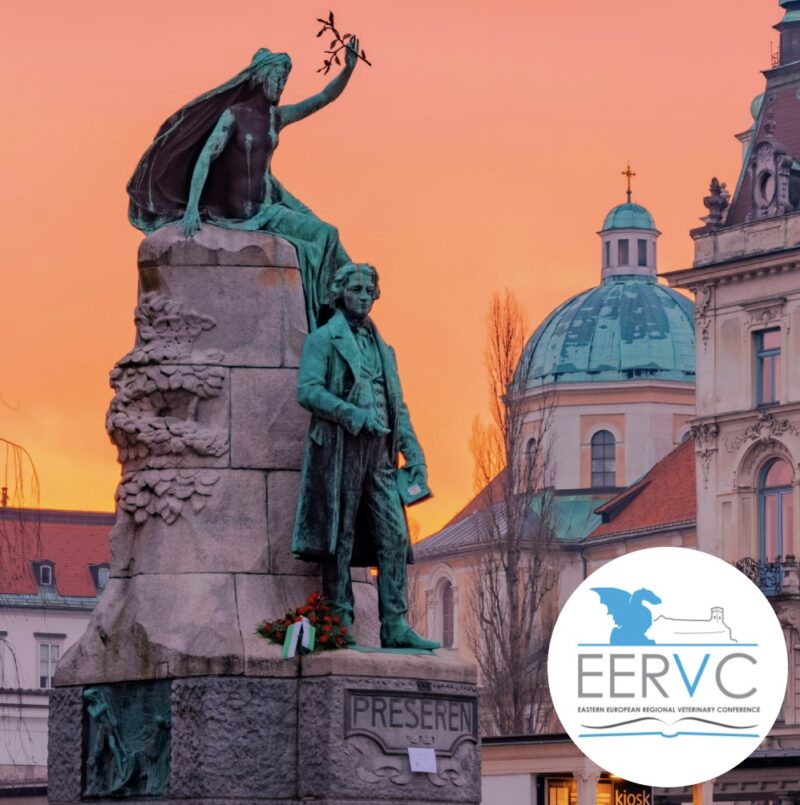 Bildschirmfoto 2025 08 19 um 13 12 27