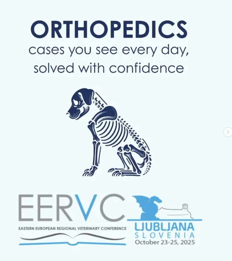 Bildschirmfoto 2025 08 19 um 13 14 47