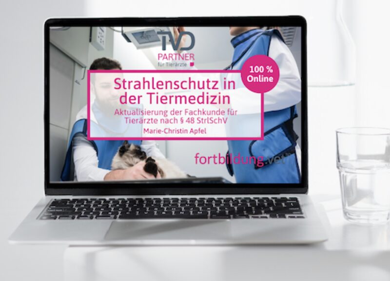 Bildschirmfoto 2025 08 21 um 13 38 05