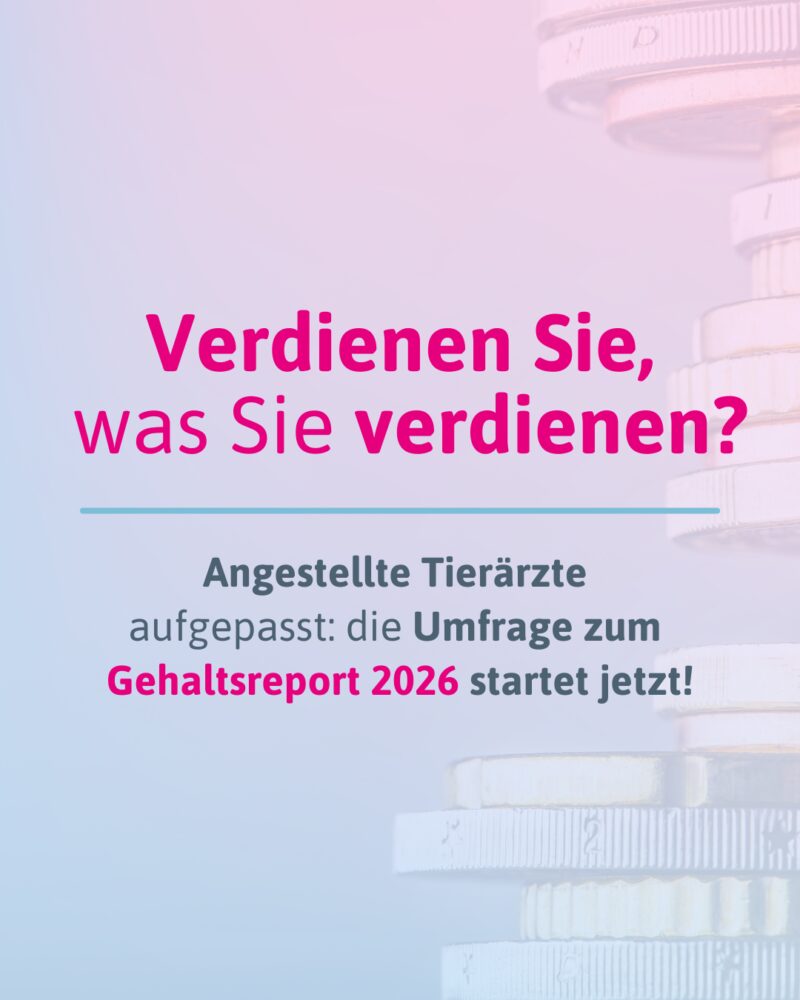 Tvd gehaltsreport umfrage 2026