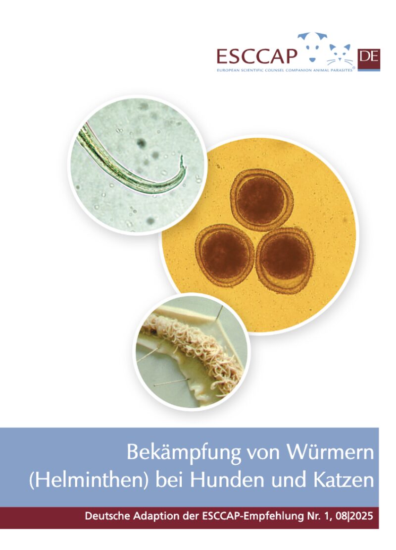 Bildschirmfoto 2025 08 30 um 07 49 58