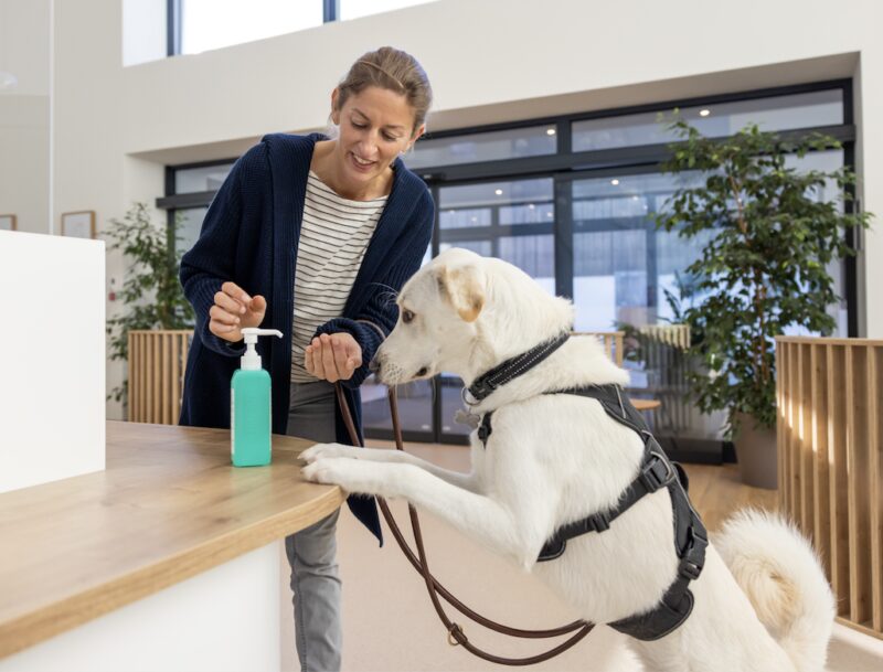 Bildschirmfoto 2025 09 01 um 14 36 18