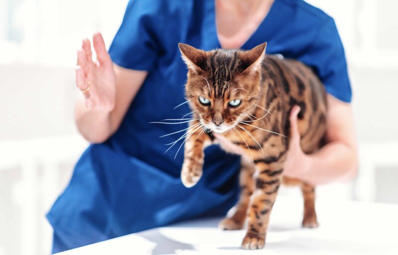 Bildschirmfoto 2025 09 01 um 14 49 56