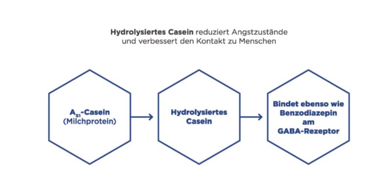 Bildschirmfoto 2025 09 02 um 08 19 52