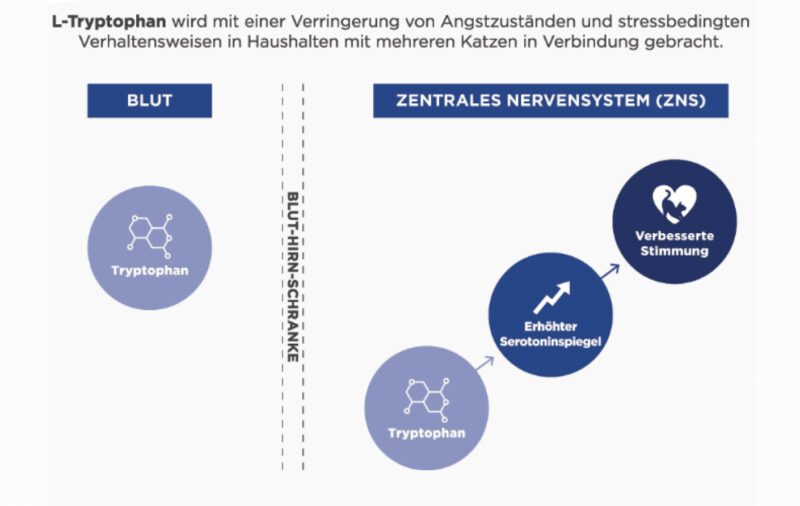 Bildschirmfoto 2025 09 02 um 10 16 41