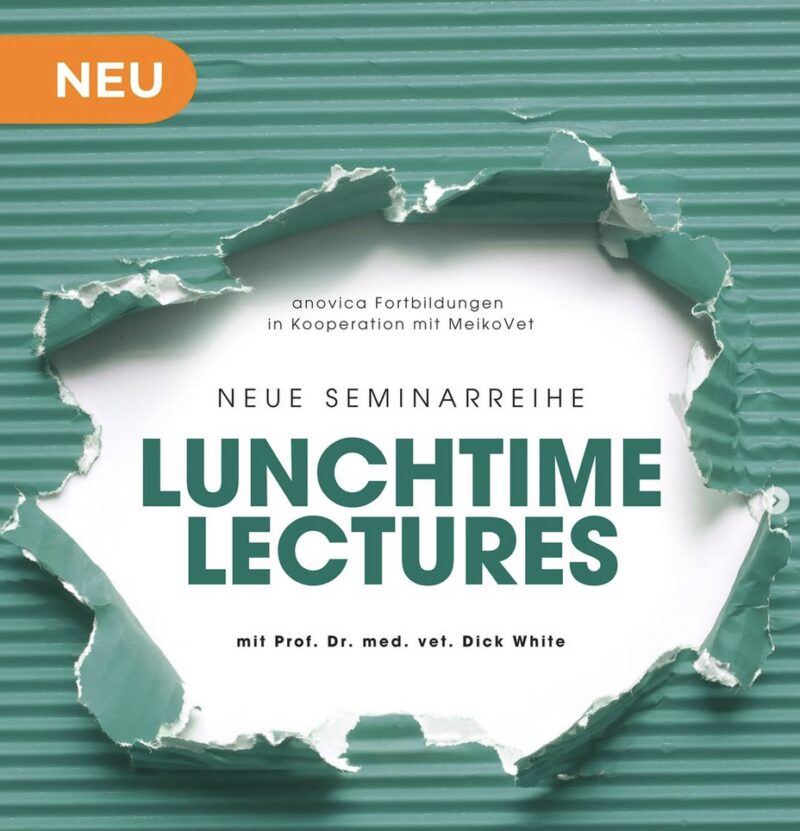 Bildschirmfoto 2025 09 08 um 10 08 48