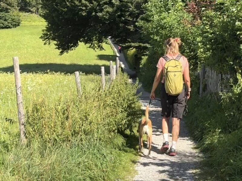 Bildschirmfoto 2025 09 09 um 15 49 35