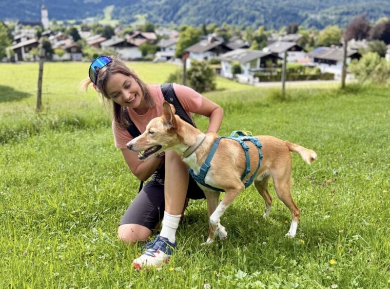 Bildschirmfoto 2025 09 09 um 15 49 50