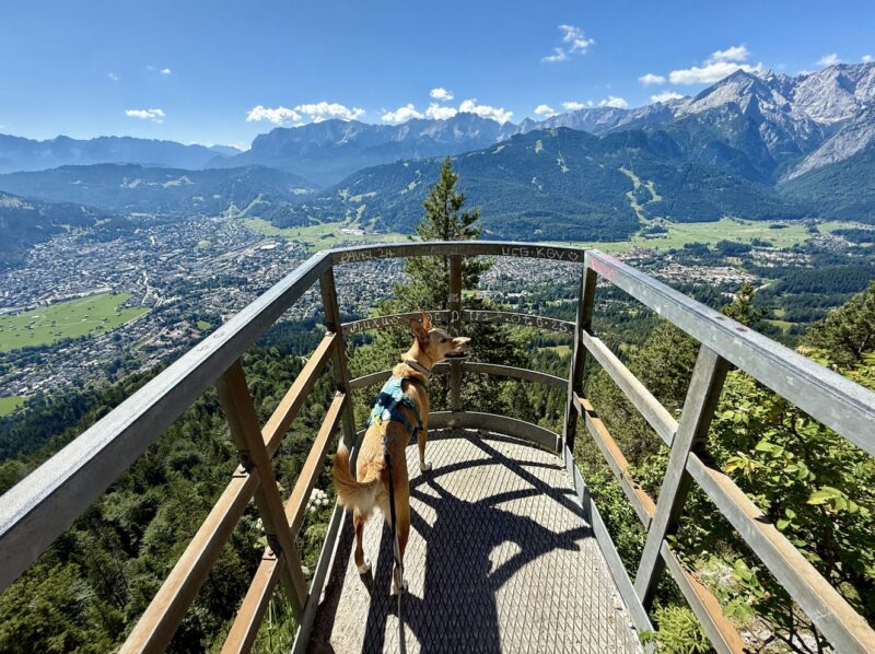 Bildschirmfoto 2025 09 09 um 15 50 06