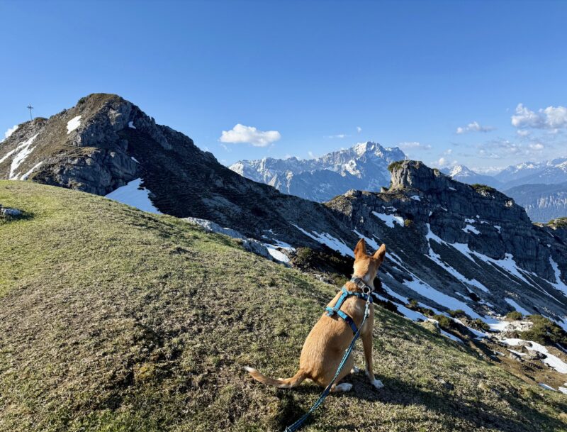 Bildschirmfoto 2025 09 09 um 15 50 40