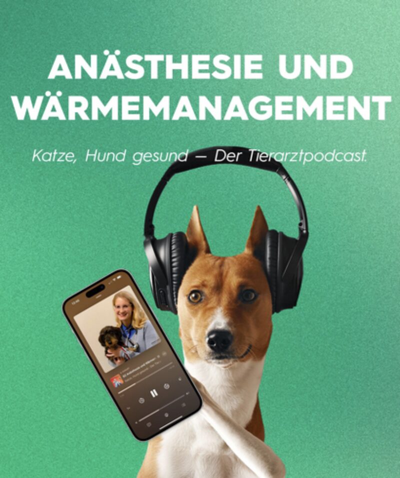 Bildschirmfoto 2025 09 14 um 15 21 54