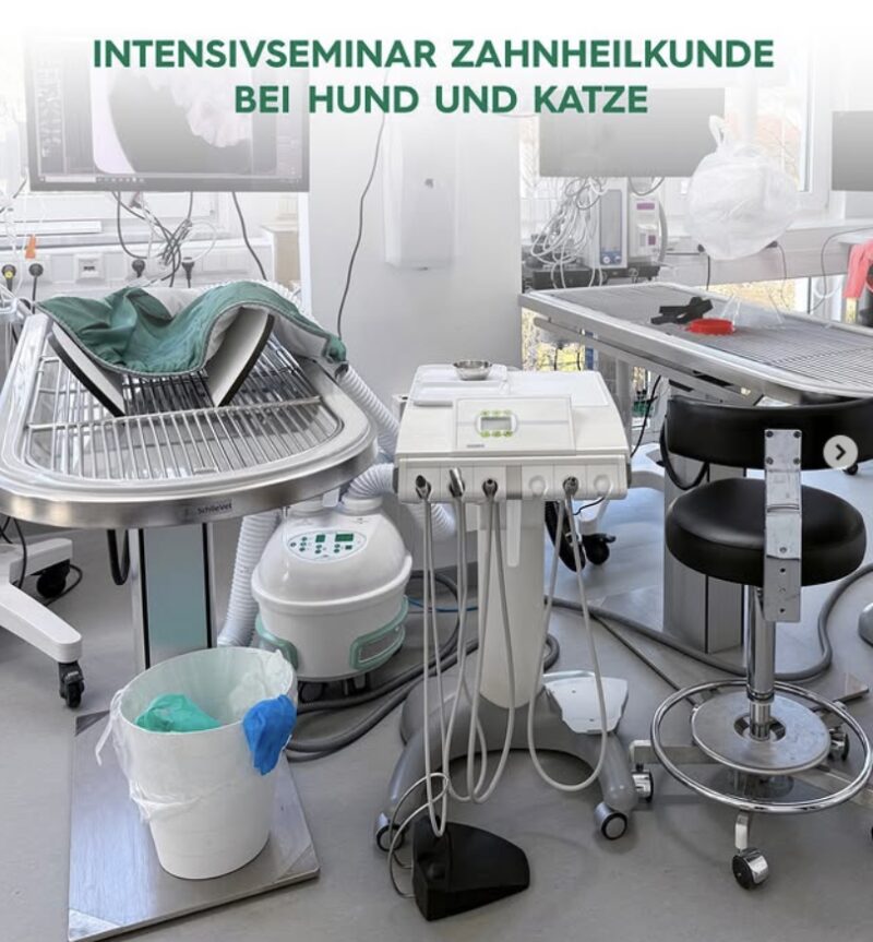 Bildschirmfoto 2025 09 14 um 15 23 40