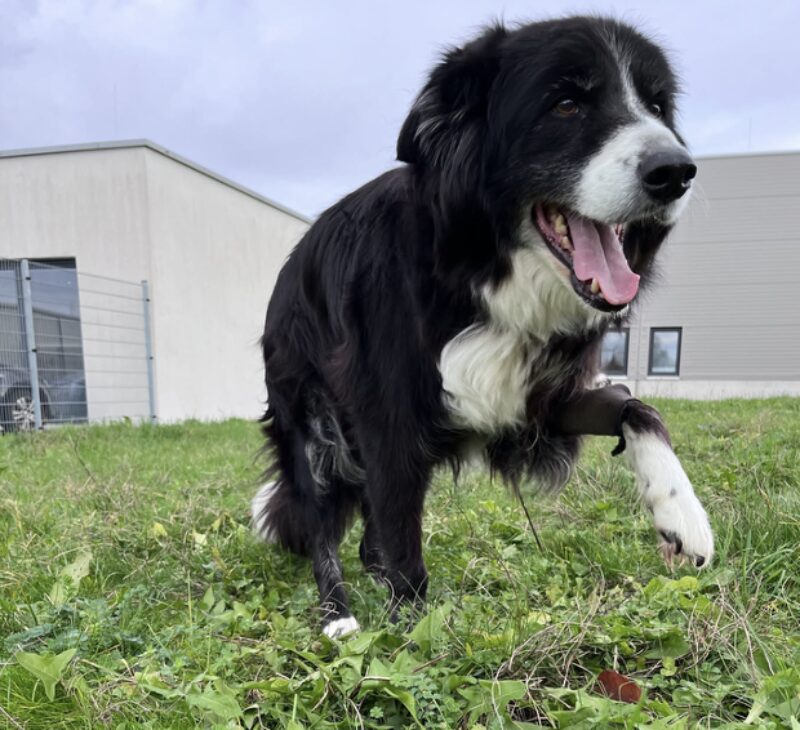 Bildschirmfoto 2025 09 18 um 12 24 27