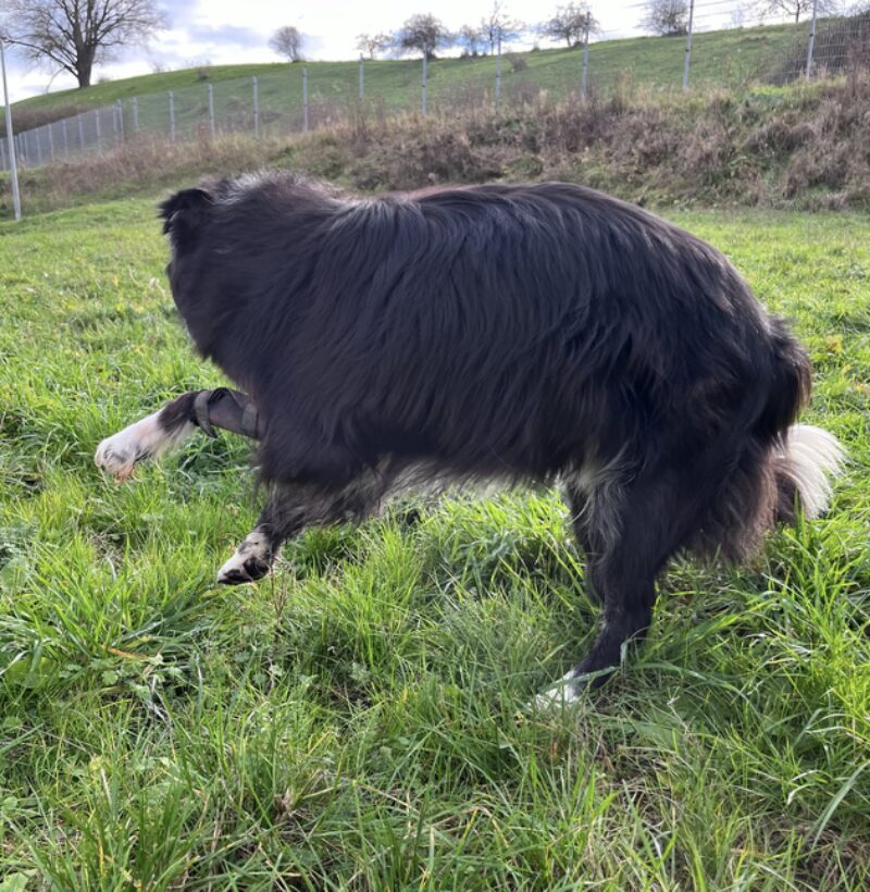 Bildschirmfoto 2025 09 18 um 12 25 37