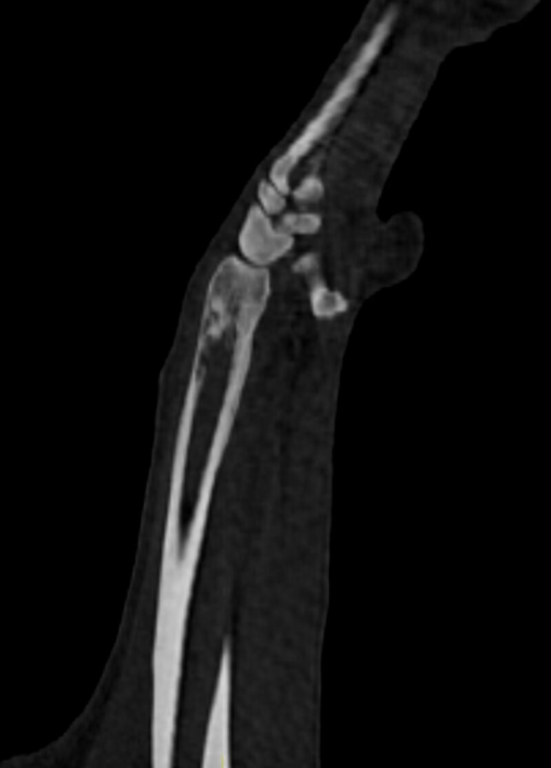 Bildschirmfoto 2025 09 18 um 12 53 17