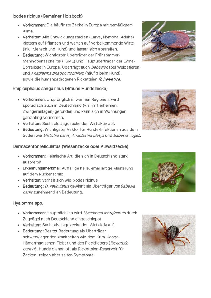 Tabelle 1 Die wichtigsten Krankheitsuebertragenden Zecken