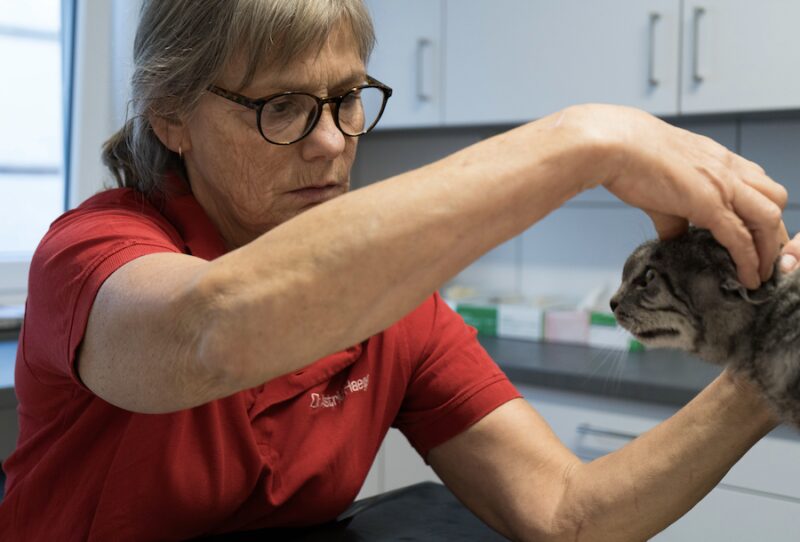 Bildschirmfoto 2025 09 18 um 15 22 07