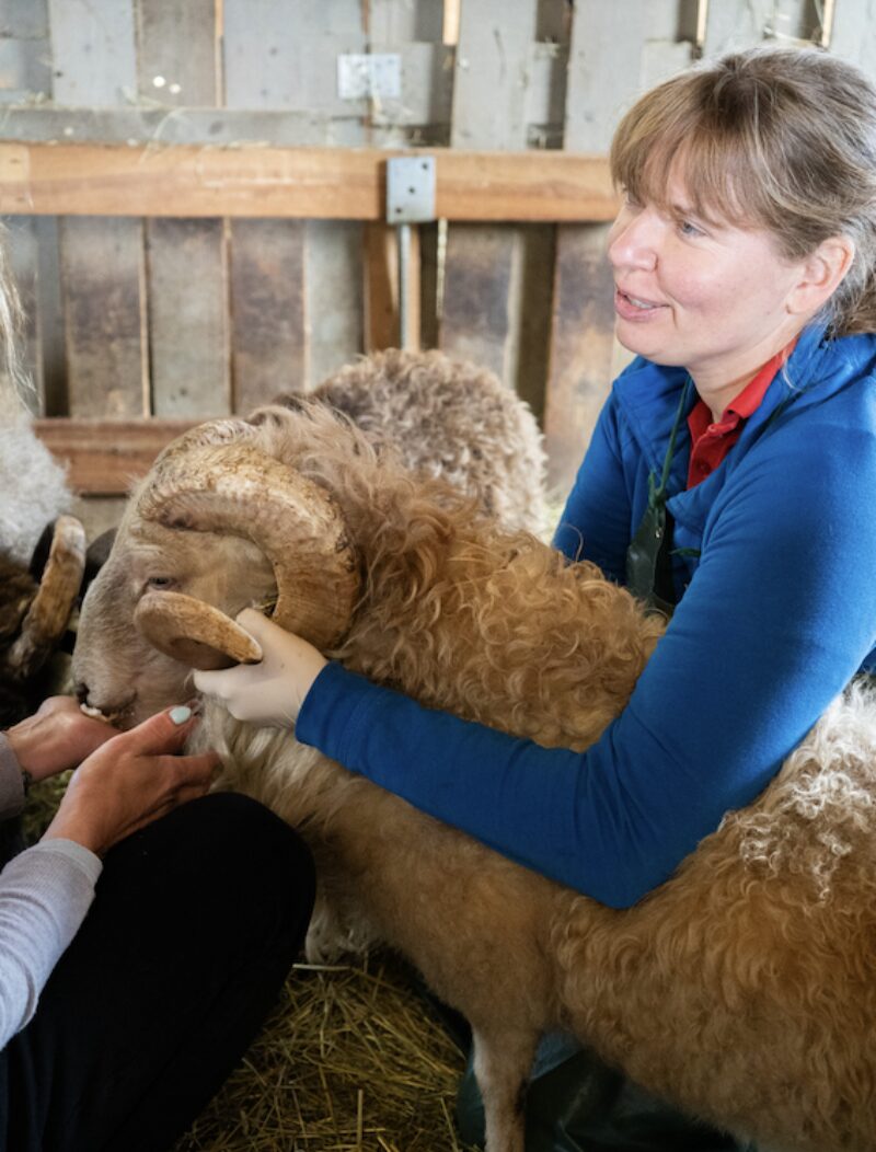 Bildschirmfoto 2025 09 18 um 15 34 33