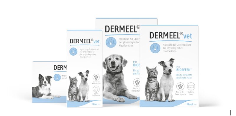 Bildschirmfoto 2025 09 20 um 21 24 18