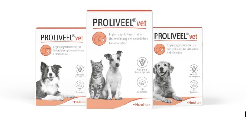 Bildschirmfoto 2025 09 20 um 21 25 38