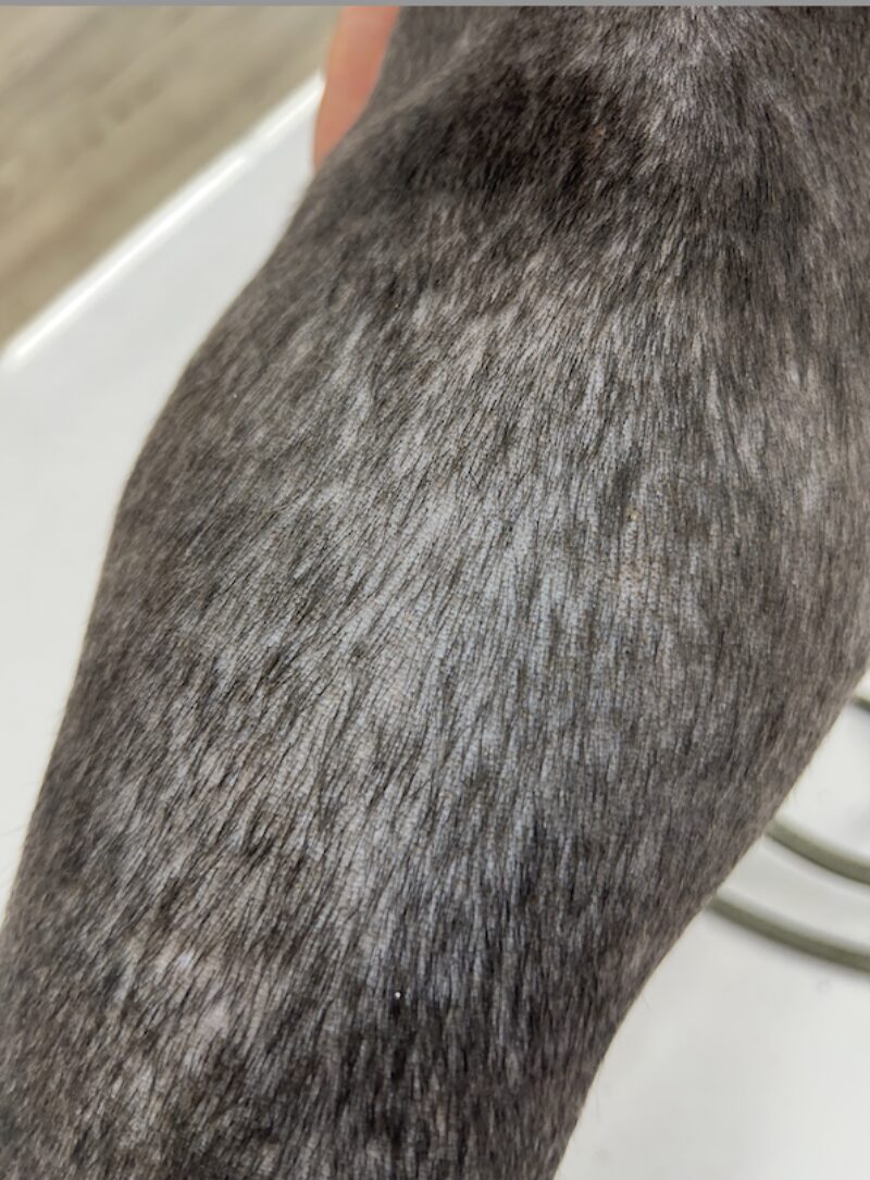 Bildschirmfoto 2025 09 21 um 08 45 12