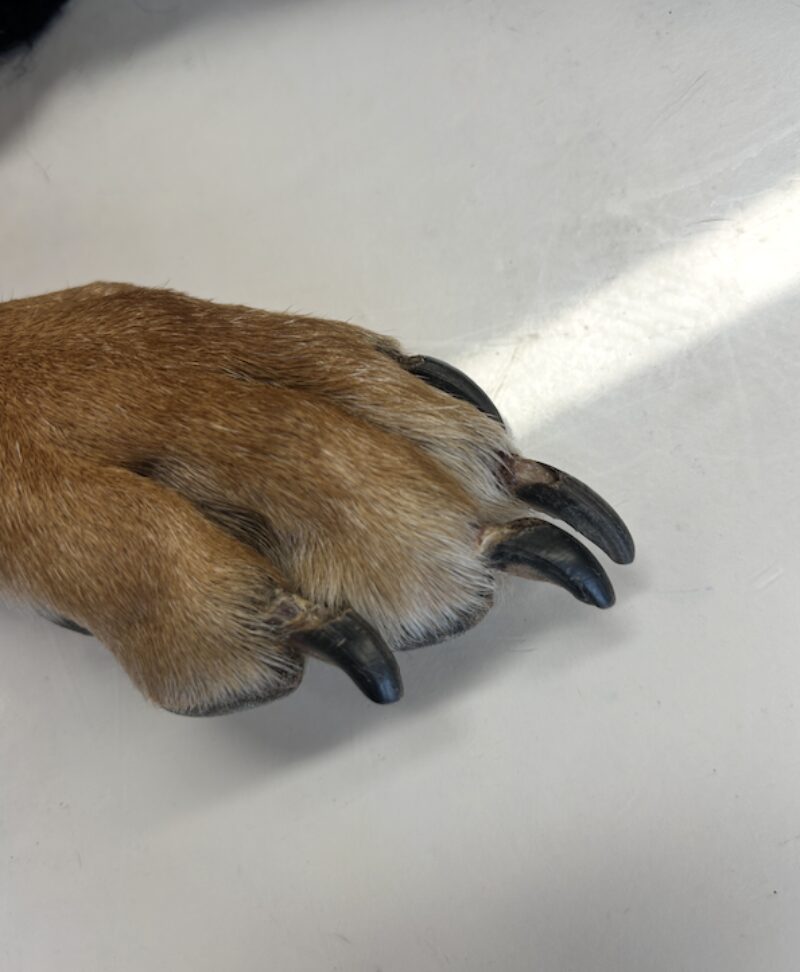 Bildschirmfoto 2025 09 21 um 08 46 05